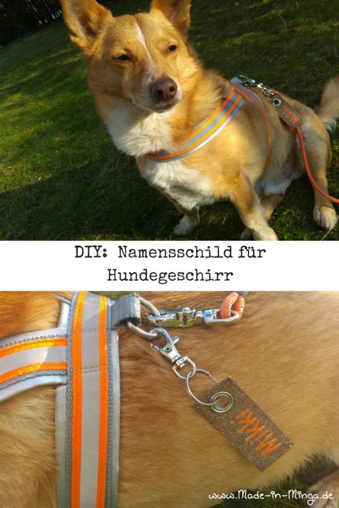 Namensschild für Hunde selbst gemacht