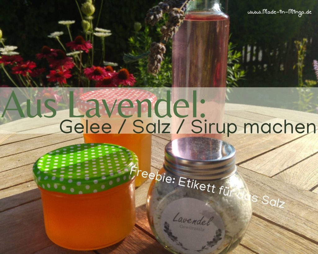 Lavendel aus dem Garten verwerten. Gelee, Salz und Sirup